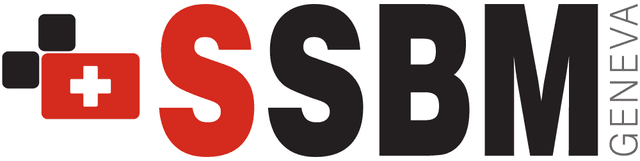 SSBM Online