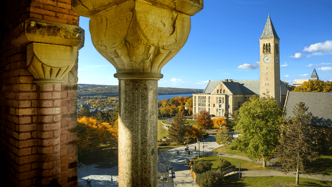 Ecornell University